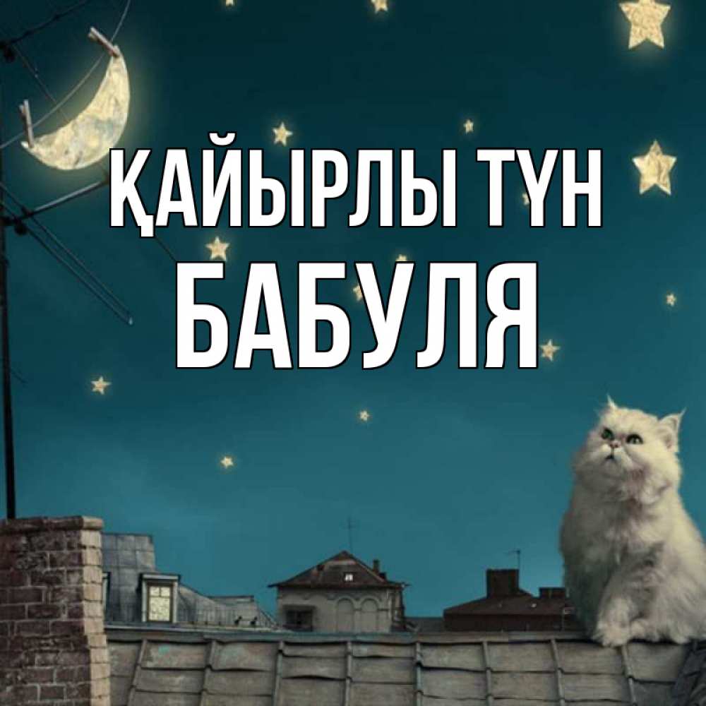 Күн сайын ашық хат с именем, Бабуля Қайырлы түн белый кот сидит на крыше Онлайн тегін жүктеп алу тілектері бар керемет карта 