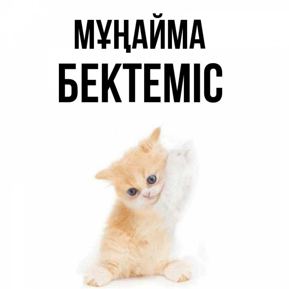 Күн сайын ашық хат с именем, Бектеміс Мұңайма просящий кот Онлайн тегін жүктеп алу тілектері бар керемет карта 