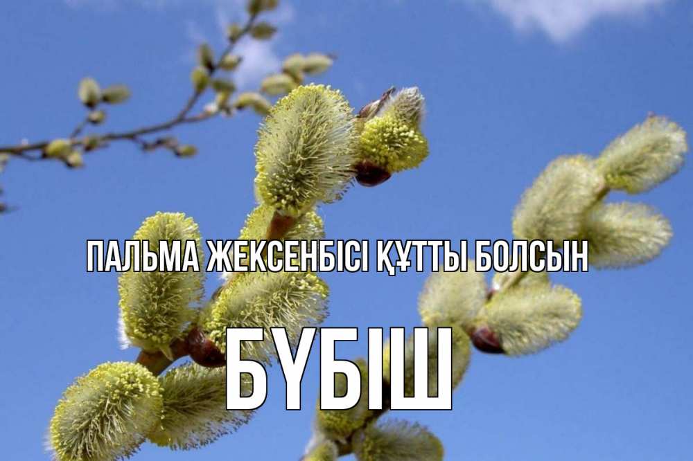 Күн сайын ашық хат с именем, БҮБІШ Пальма жексенбісі құтты болсын верба Онлайн тегін жүктеп алу тілектері бар керемет карта 