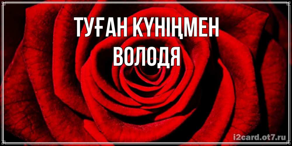 Күн сайын ашық хат с именем, Володя Туған күніңмен алая роза Онлайн тегін жүктеп алу тілектері бар керемет карта 