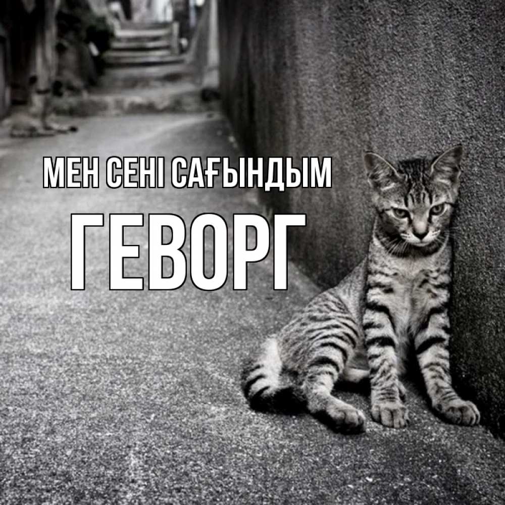 Күн сайын ашық хат с именем, Геворг Мен сені сағындым одиноко котику Онлайн тегін жүктеп алу тілектері бар керемет карта 