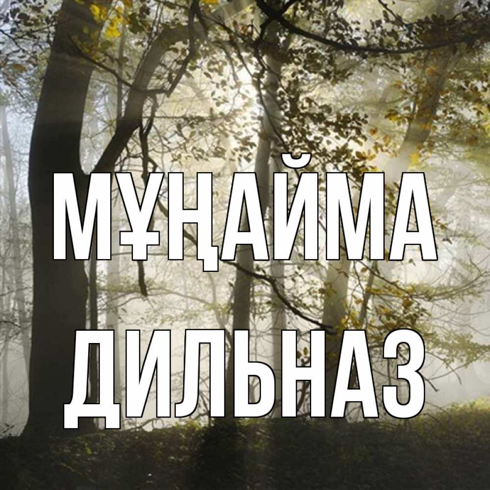 Күн сайын ашық хат с именем, ДИЛЬНАЗ Мұңайма лес и свет Онлайн тегін жүктеп алу тілектері бар керемет карта 