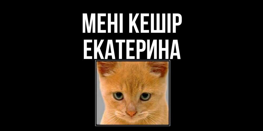 Күн сайын ашық хат с именем, Екатерина Мені кешір рыжий грустный кот просит прощения Онлайн тегін жүктеп алу тілектері бар керемет карта 