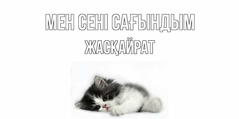 Күн сайын ашық хат с именем, Жасқайрат Мен сені сағындым кот, скука Онлайн тегін жүктеп алу тілектері бар керемет карта 