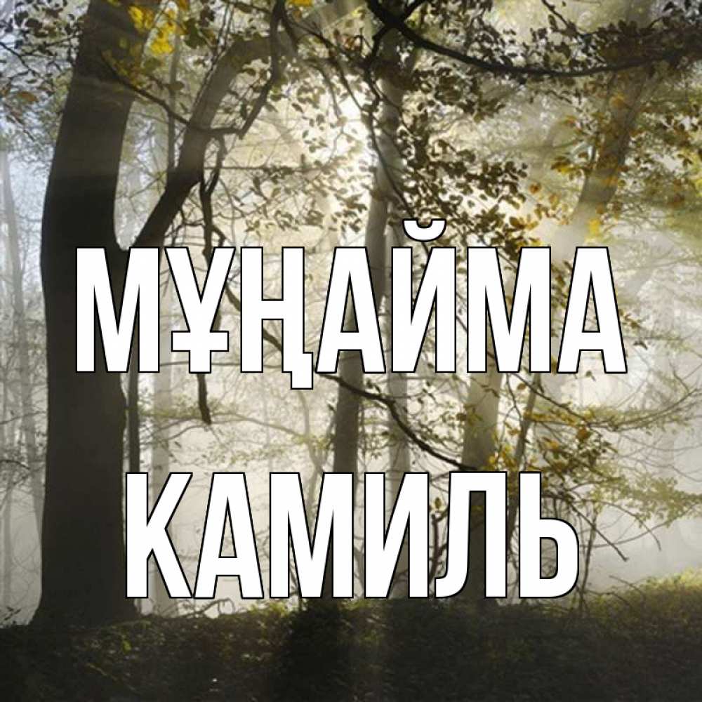 Күн сайын ашық хат с именем, Камиль Мұңайма лес и свет Онлайн тегін жүктеп алу тілектері бар керемет карта 
