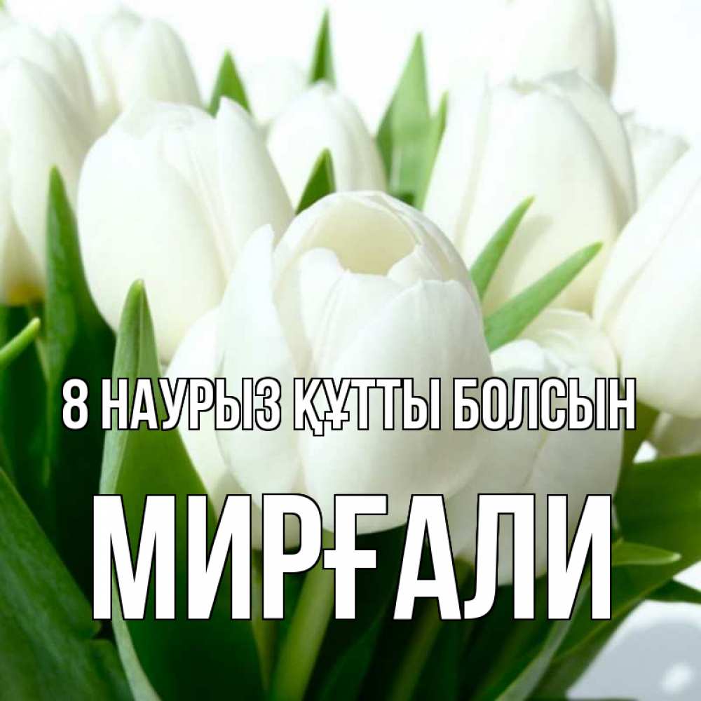 Күн сайын ашық хат с именем, МИРҒАЛИ 8 наурыз құтты болсын цветы Онлайн тегін жүктеп алу тілектері бар керемет карта 