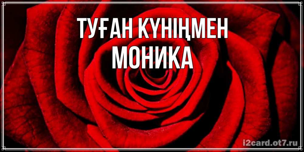 Күн сайын ашық хат с именем, Моника Туған күніңмен алая роза Онлайн тегін жүктеп алу тілектері бар керемет карта 