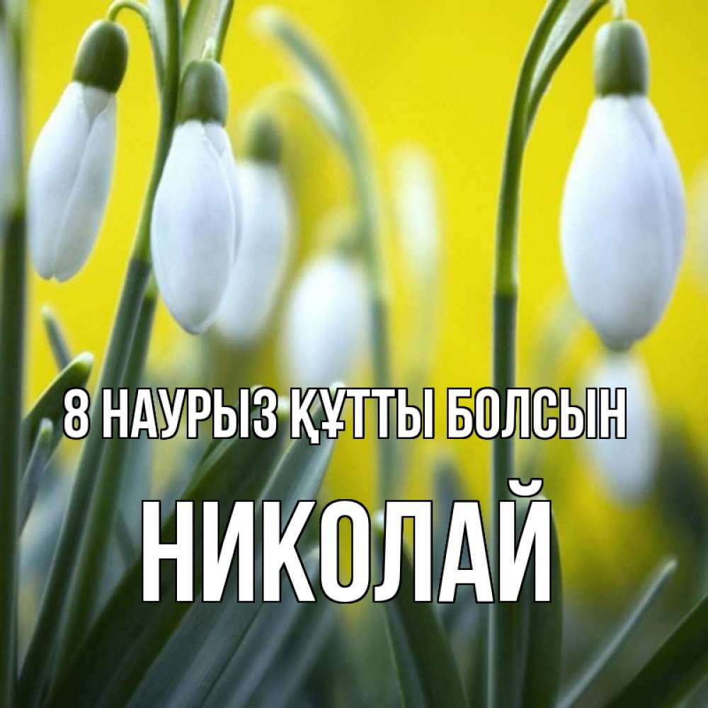 Күн сайын ашық хат с именем, Николай 8 наурыз құтты болсын весенние цветы Онлайн тегін жүктеп алу тілектері бар керемет карта 