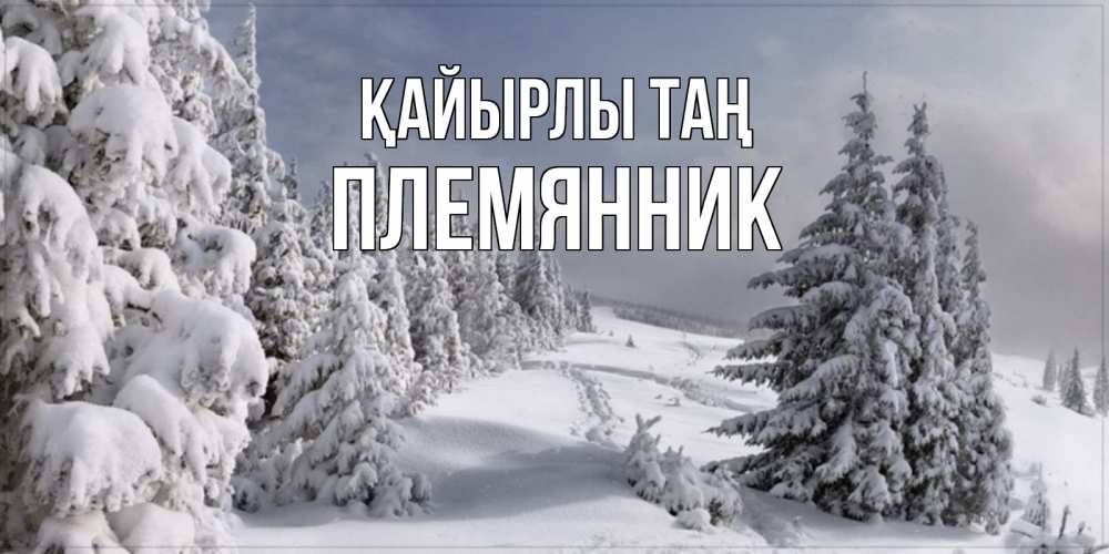 Күн сайын ашық хат с именем, Племянник Қайырлы таң пасмурное утро Онлайн тегін жүктеп алу тілектері бар керемет карта 