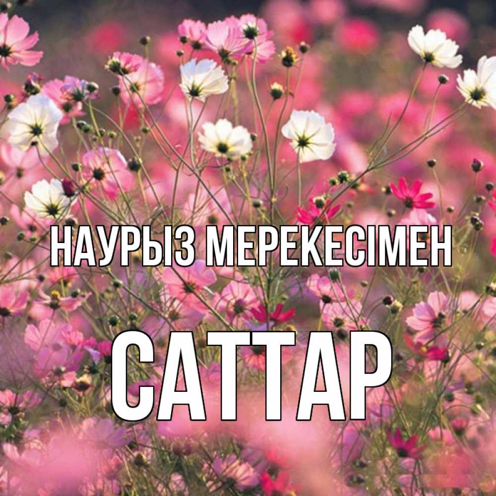 Күн сайын ашық хат с именем, САТТАР Наурыз мерекесімен красиво 1 Онлайн тегін жүктеп алу тілектері бар керемет карта 