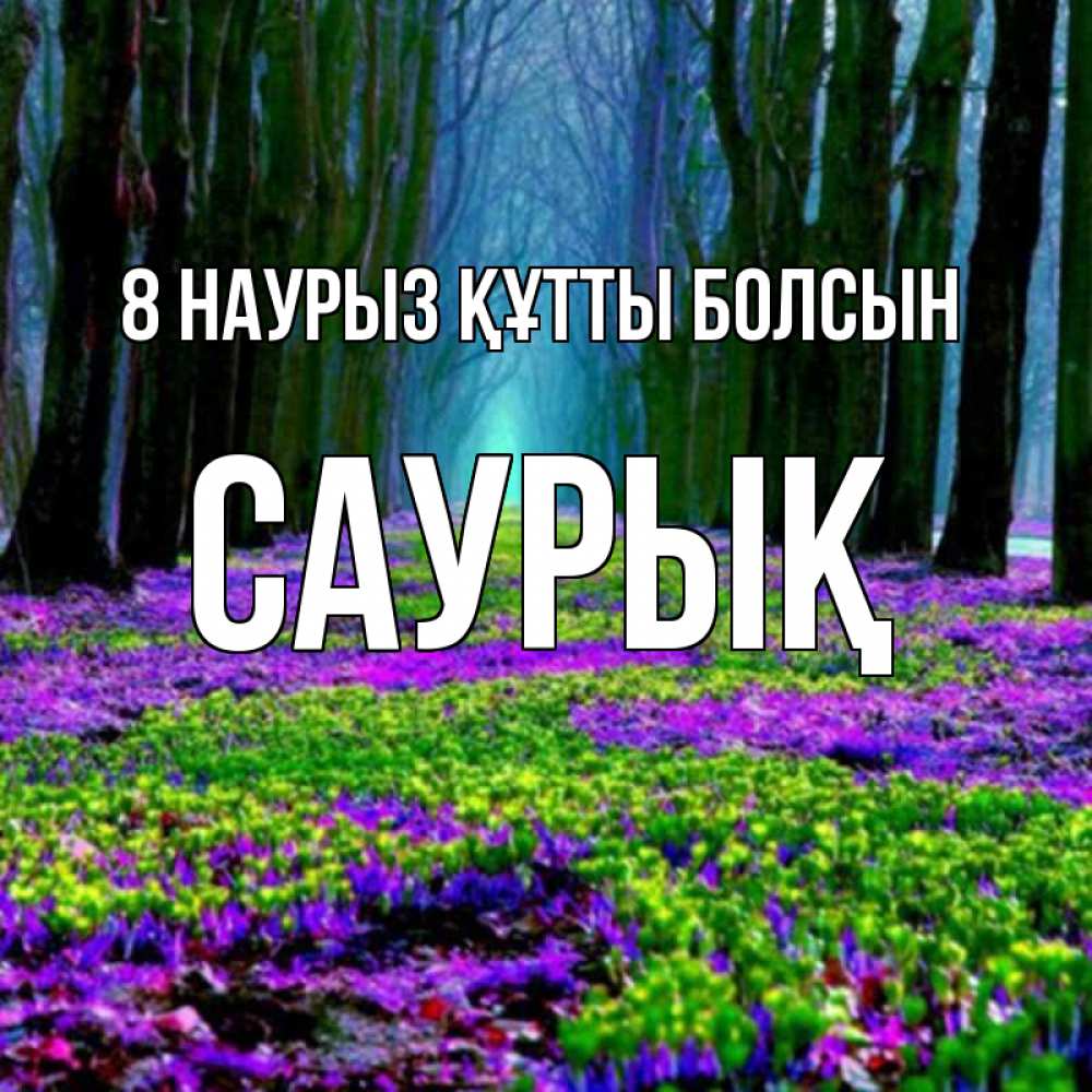 Күн сайын ашық хат с именем, САУРЫҚ 8 наурыз құтты болсын фиолетовые цветы в лесу 1 Онлайн тегін жүктеп алу тілектері бар керемет карта 