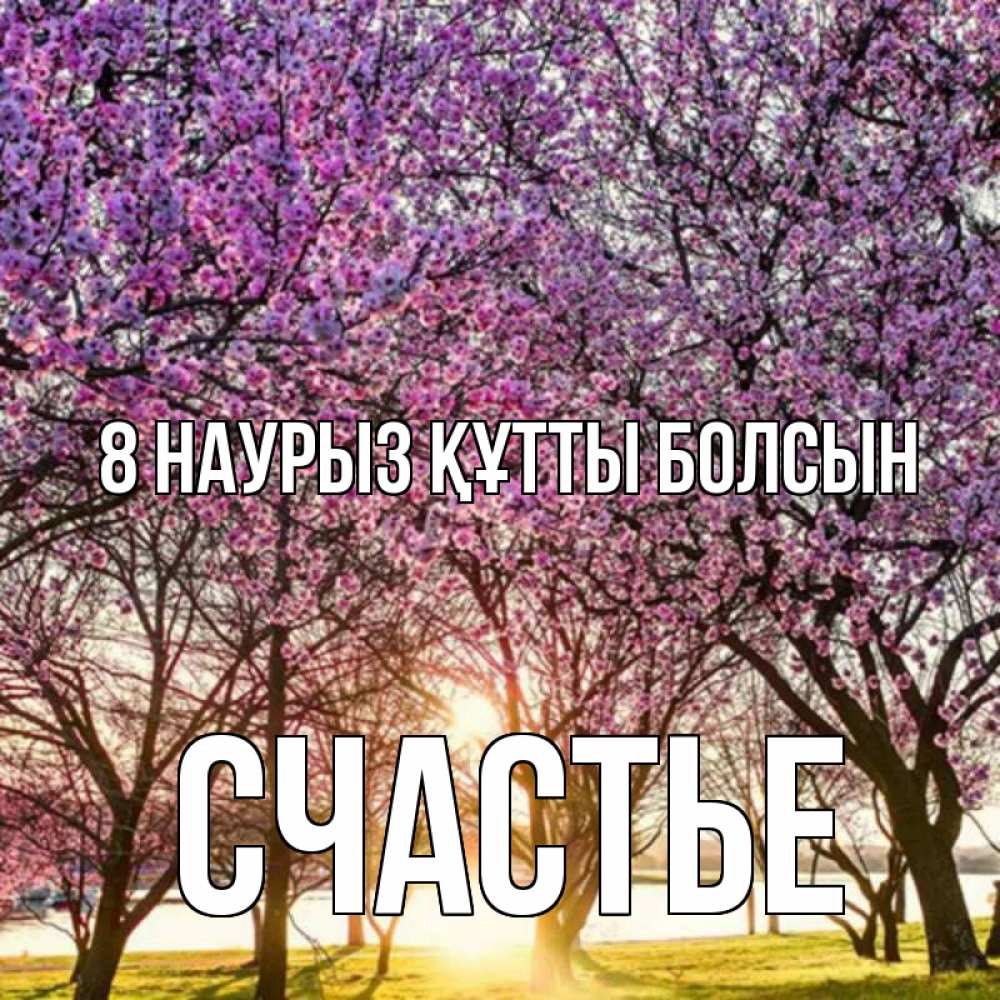 Күн сайын ашық хат с именем, Счастье 8 наурыз құтты болсын международный женский день Онлайн тегін жүктеп алу тілектері бар керемет карта 