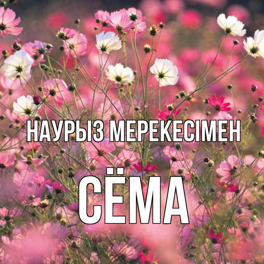 Күн сайын ашық хат с именем, Сёма Наурыз мерекесімен красиво 1 Онлайн тегін жүктеп алу тілектері бар керемет карта 