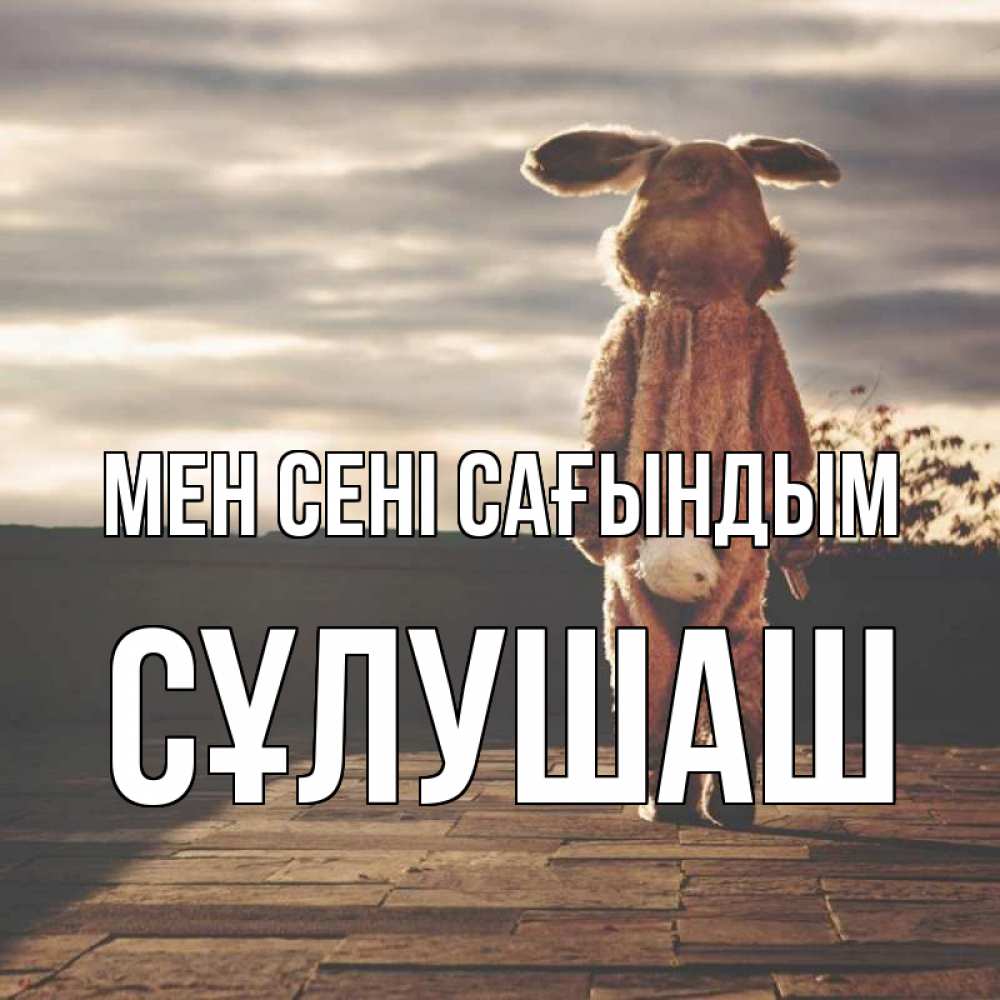 Күн сайын ашық хат с именем, СҰЛУШАШ Мен сені сағындым даже в костюме зайца Онлайн тегін жүктеп алу тілектері бар керемет карта 