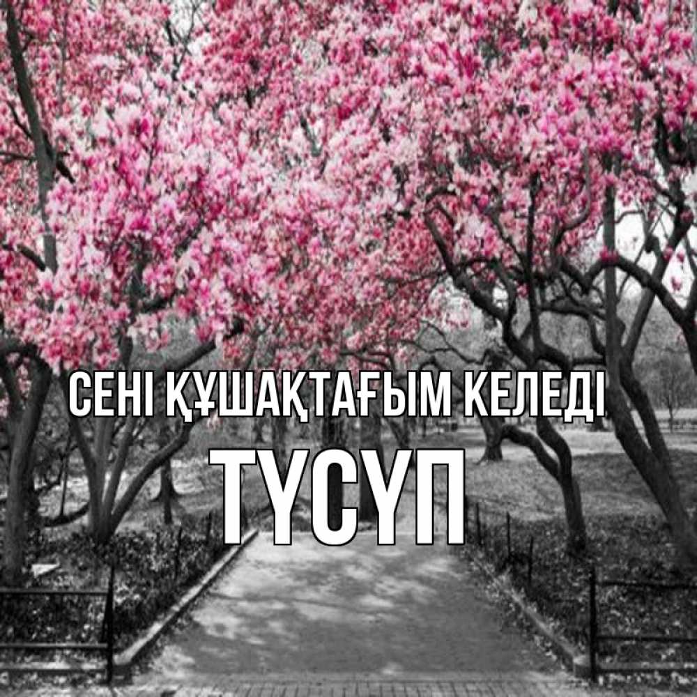 Күн сайын ашық хат с именем, ТҮСҮП сені құшақтағым келеді обработанное фото Онлайн тегін жүктеп алу тілектері бар керемет карта 
