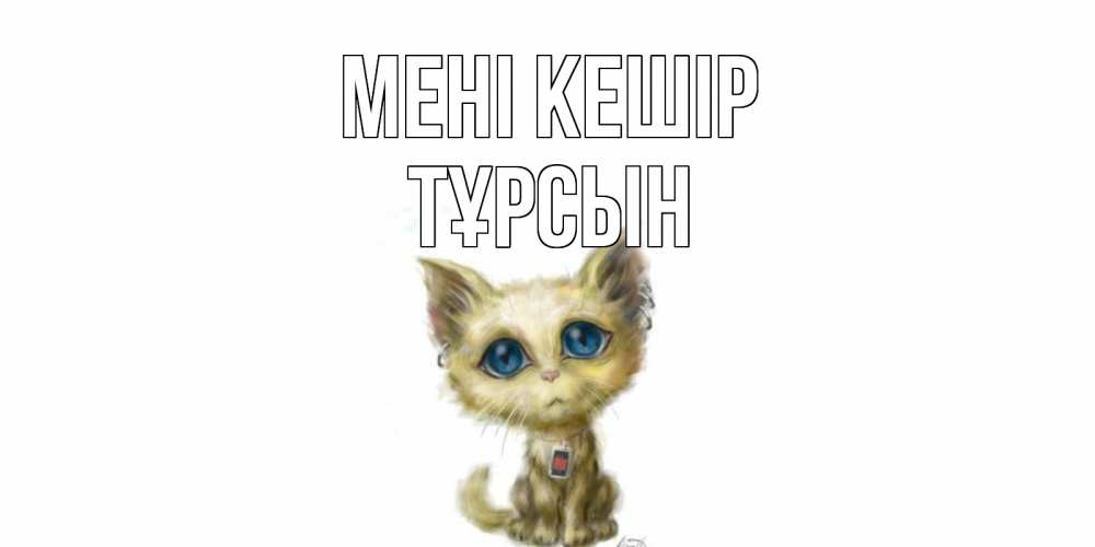Күн сайын ашық хат с именем, ТҰРСЫН Мені кешір прости меня открытка с котиком Онлайн тегін жүктеп алу тілектері бар керемет карта 