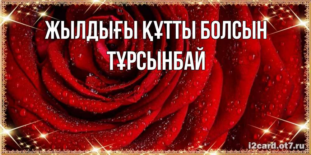 Күн сайын ашық хат с именем, ТҰРСЫНБАЙ Жылдығы құтты болсын роса на розе блестящая в лучах солнца Онлайн тегін жүктеп алу тілектері бар керемет карта 