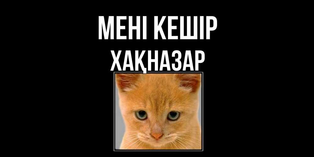 Күн сайын ашық хат с именем, ХАҚНАЗАР Мені кешір рыжий грустный кот просит прощения Онлайн тегін жүктеп алу тілектері бар керемет карта 