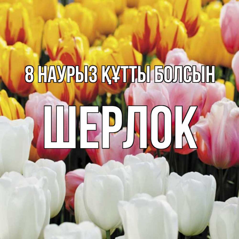 Күн сайын ашық хат с именем, Шерлок 8 наурыз құтты болсын разноцветные цветы Онлайн тегін жүктеп алу тілектері бар керемет карта 