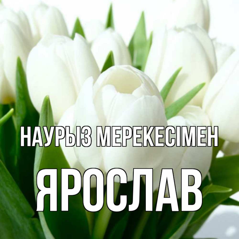 Күн сайын ашық хат с именем, Ярослав Наурыз мерекесімен цветы Онлайн тегін жүктеп алу тілектері бар керемет карта 