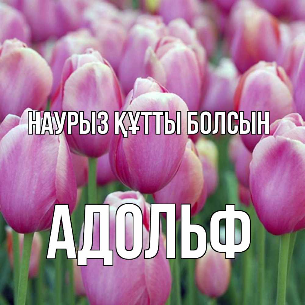 Күн сайын ашық хат с именем, Адольф Наурыз құтты болсын на наурыз  день 3 Онлайн тегін жүктеп алу тілектері бар керемет карта 