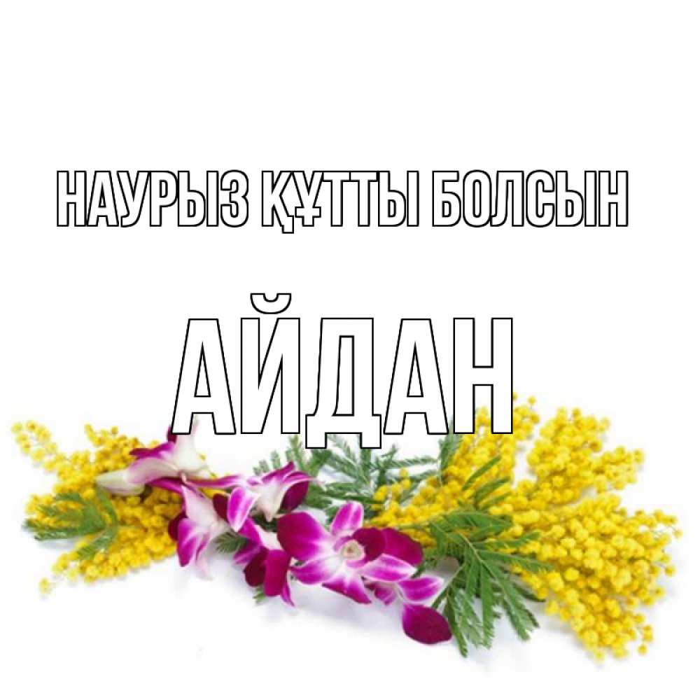 Күн сайын ашық хат с именем, Айдан Наурыз құтты болсын открытка  наурыз с цветами  1 Онлайн тегін жүктеп алу тілектері бар керемет карта 