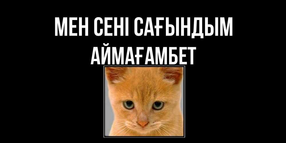 Күн сайын ашық хат с именем, Аймағамбет Мен сені сағындым открытки рыжий котенок скучает по тебе Онлайн тегін жүктеп алу тілектері бар керемет карта 