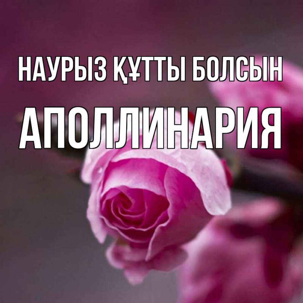 Күн сайын ашық хат с именем, Аполлинария Наурыз құтты болсын весна Онлайн тегін жүктеп алу тілектері бар керемет карта 