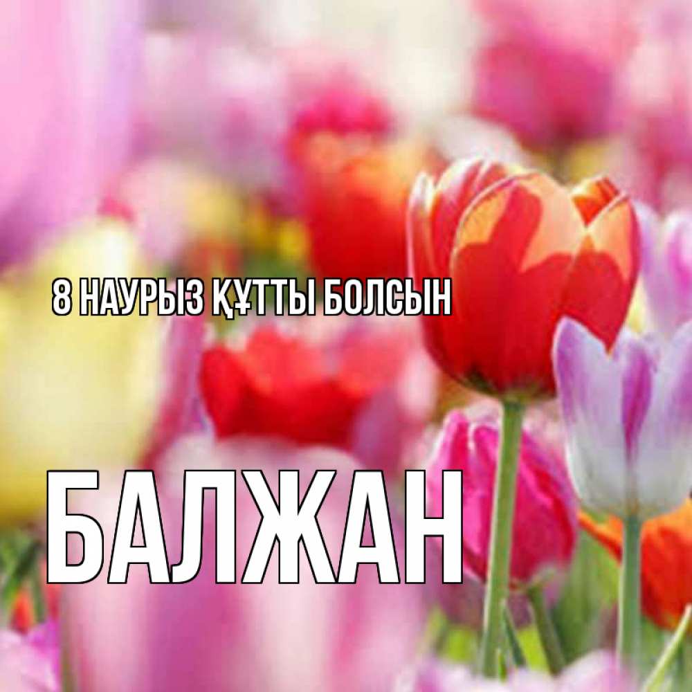 Күн сайын ашық хат с именем, БАЛЖАН 8 наурыз құтты болсын на международный женский день 2 Онлайн тегін жүктеп алу тілектері бар керемет карта 