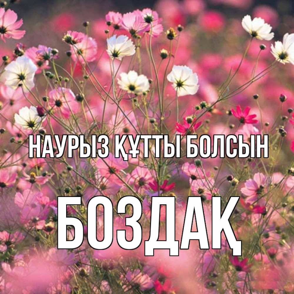 Күн сайын ашық хат с именем, Боздақ Наурыз құтты болсын красиво 1 Онлайн тегін жүктеп алу тілектері бар керемет карта 