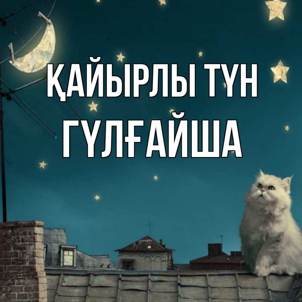 Күн сайын ашық хат с именем, ГҮЛҒАЙША Қайырлы түн белый кот сидит на крыше Онлайн тегін жүктеп алу тілектері бар керемет карта 