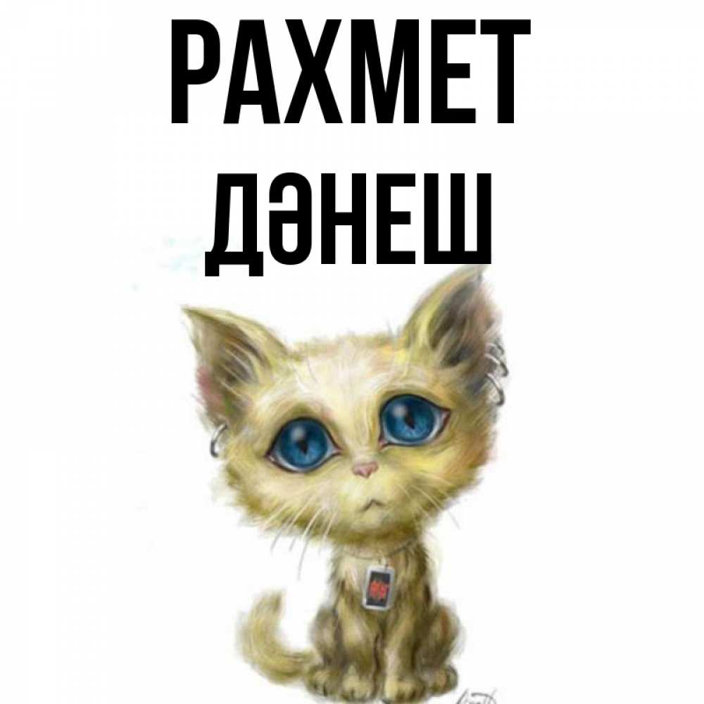 Күн сайын ашық хат с именем, ДӘНЕШ рахмет рисованный кот благодарит вас Онлайн тегін жүктеп алу тілектері бар керемет карта 