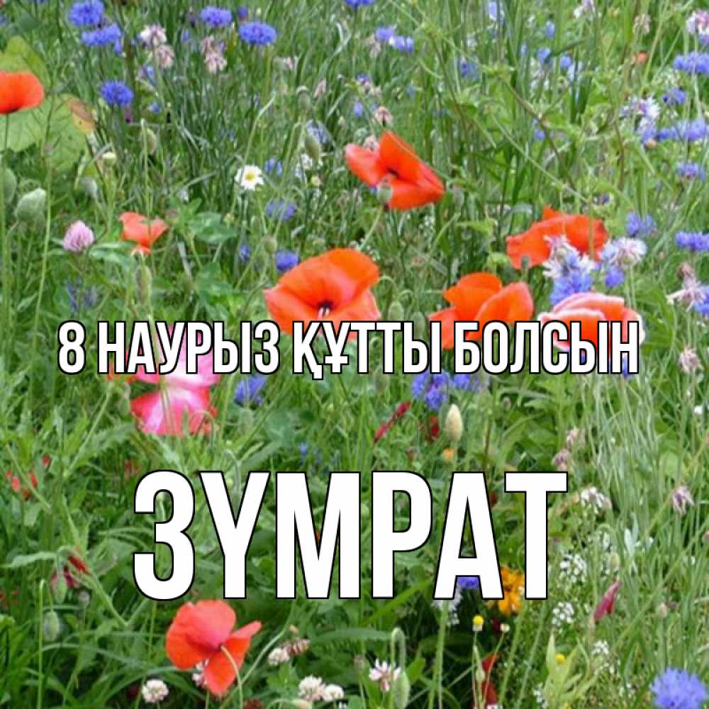 Күн сайын ашық хат с именем, ЗҮМРАТ 8 наурыз құтты болсын международный женский день 4 Онлайн тегін жүктеп алу тілектері бар керемет карта 