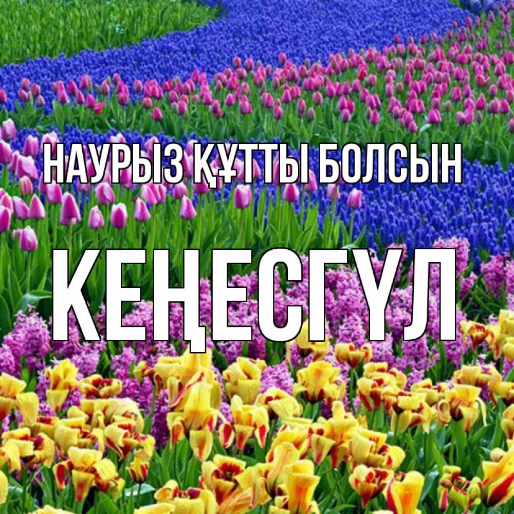 Күн сайын ашық хат с именем, КЕҢЕСГҮЛ Наурыз құтты болсын цветы Онлайн тегін жүктеп алу тілектері бар керемет карта 