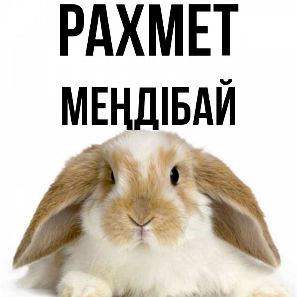 Күн сайын ашық хат с именем, МЕҢДІБАЙ рахмет коричнево белый заяц Онлайн тегін жүктеп алу тілектері бар керемет карта 