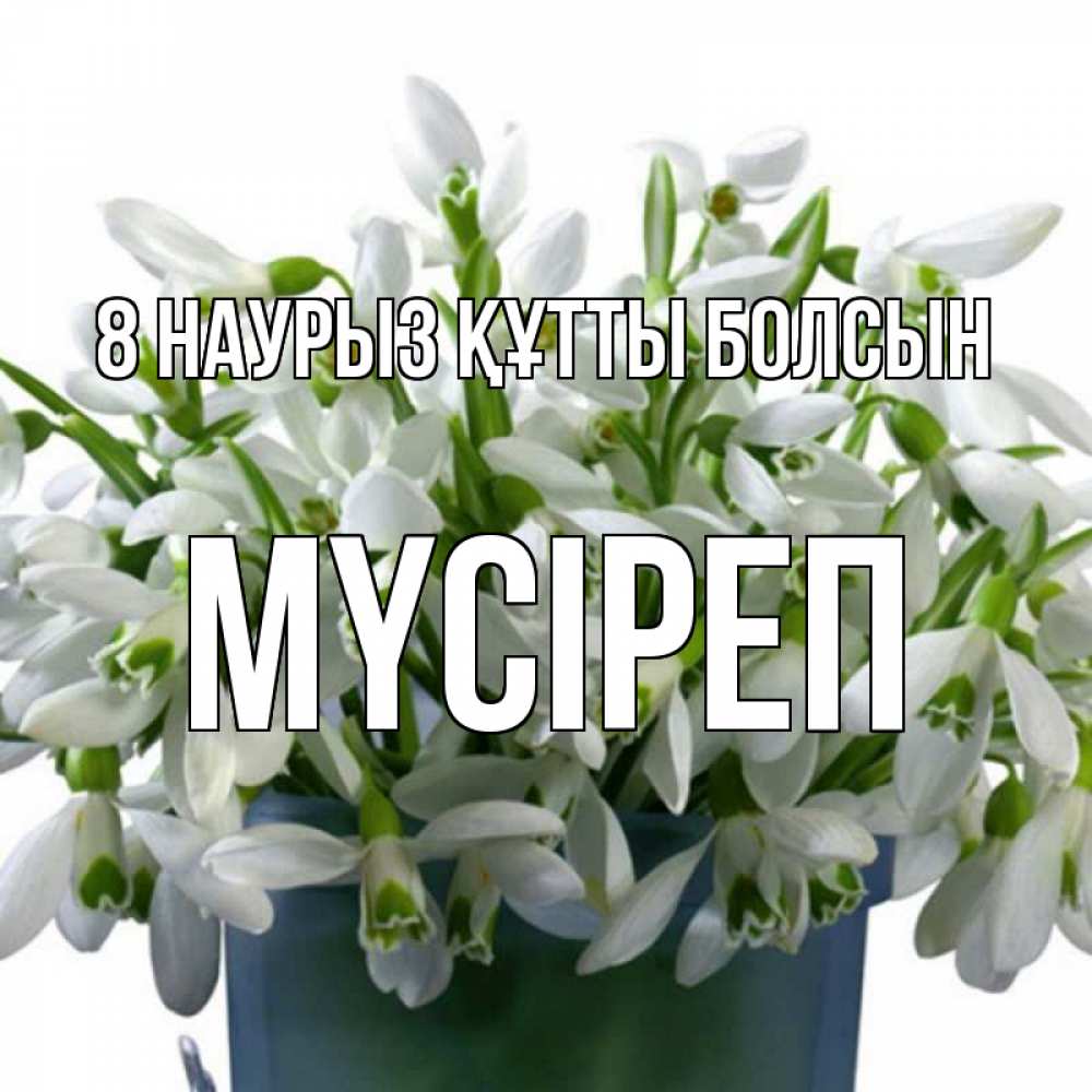 Күн сайын ашық хат с именем, МҮСІРЕП 8 наурыз құтты болсын цветы к международному женскому дню Онлайн тегін жүктеп алу тілектері бар керемет карта 