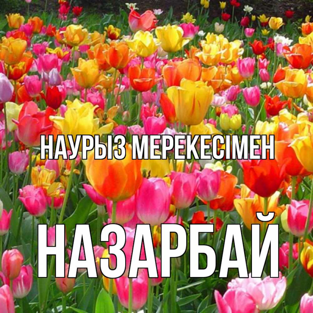 Күн сайын ашық хат с именем, НАЗАРБАЙ Наурыз мерекесімен праздник весны наурыз 4 Онлайн тегін жүктеп алу тілектері бар керемет карта 