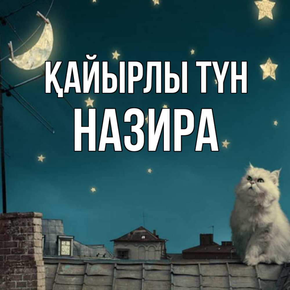 Күн сайын ашық хат с именем, Назира Қайырлы түн белый кот сидит на крыше Онлайн тегін жүктеп алу тілектері бар керемет карта 