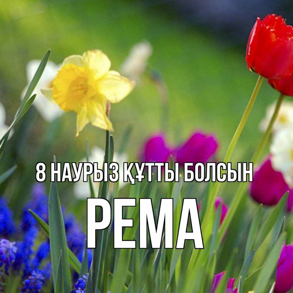 Күн сайын ашық хат с именем, Рема 8 наурыз құтты болсын международный женский день 3 Онлайн тегін жүктеп алу тілектері бар керемет карта 