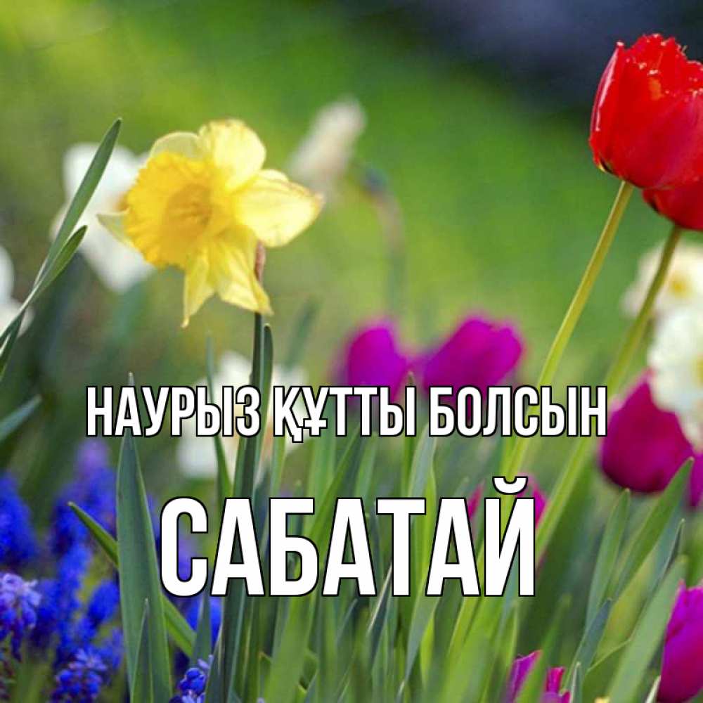 Күн сайын ашық хат с именем, САБАТАЙ Наурыз құтты болсын наурыз  3 открытки Онлайн тегін жүктеп алу тілектері бар керемет карта 