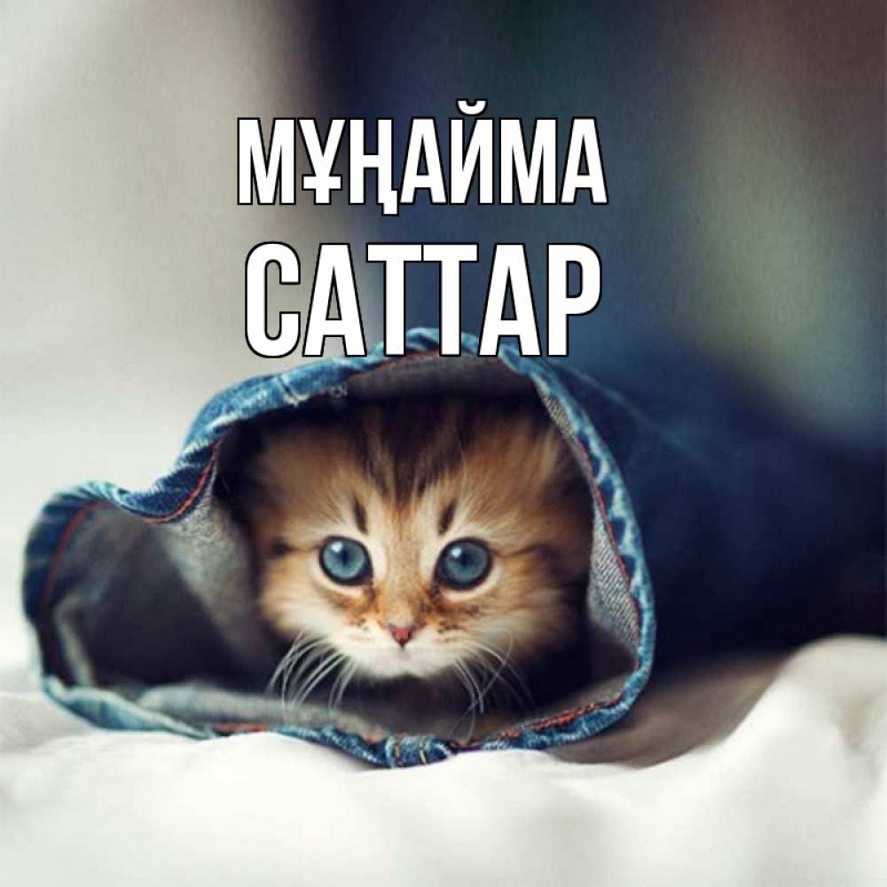 Күн сайын ашық хат с именем, САТТАР Мұңайма рыжик котик Онлайн тегін жүктеп алу тілектері бар керемет карта 