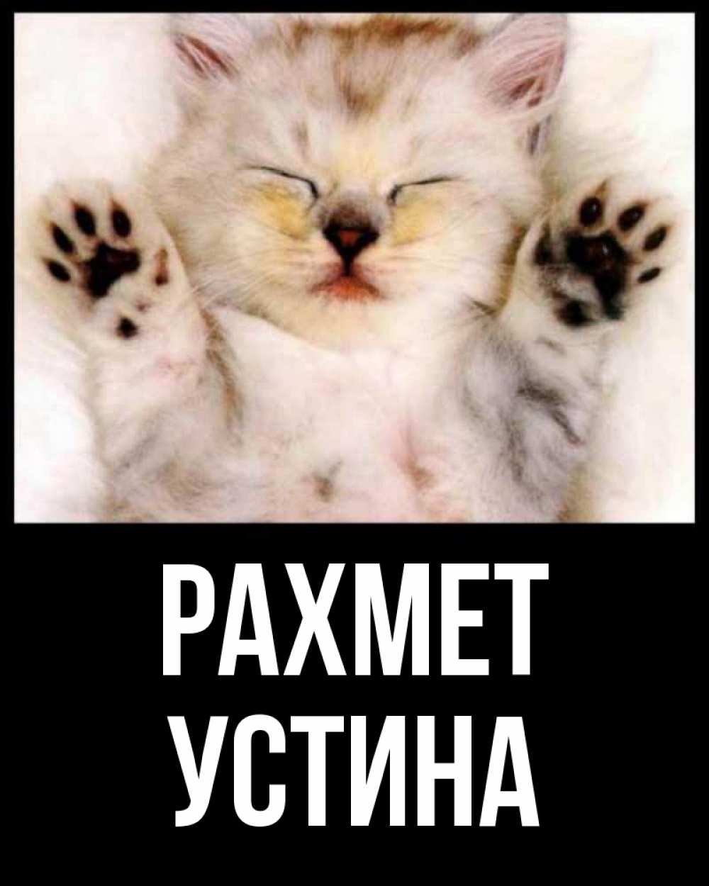 Күн сайын ашық хат с именем, Устина рахмет маленький котенок Онлайн тегін жүктеп алу тілектері бар керемет карта 