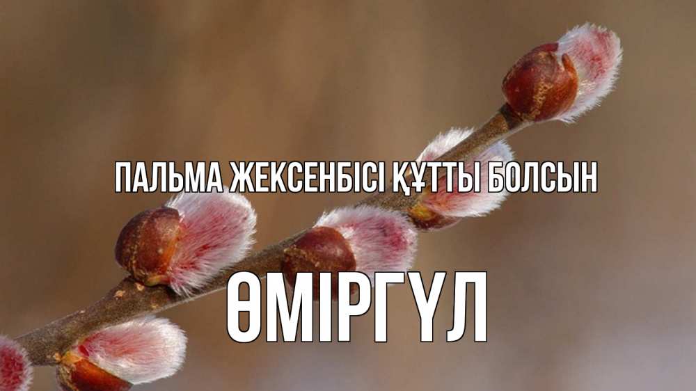 Күн сайын ашық хат с именем, ӨМІРГҮЛ Пальма жексенбісі құтты болсын верба Онлайн тегін жүктеп алу тілектері бар керемет карта 