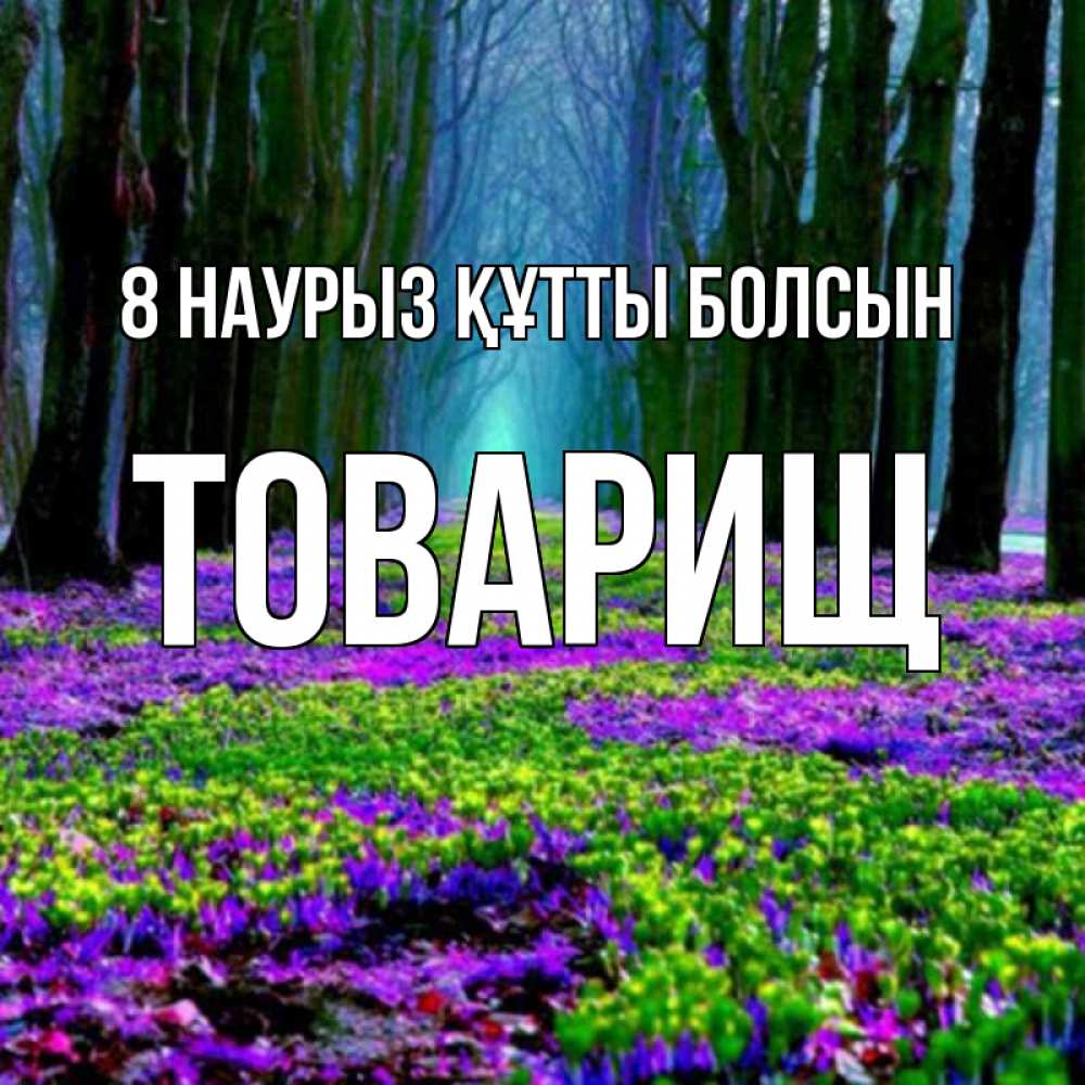 Күн сайын ашық хат с именем, Товарищ 8 наурыз құтты болсын фиолетовые цветы в лесу 1 Онлайн тегін жүктеп алу тілектері бар керемет карта 
