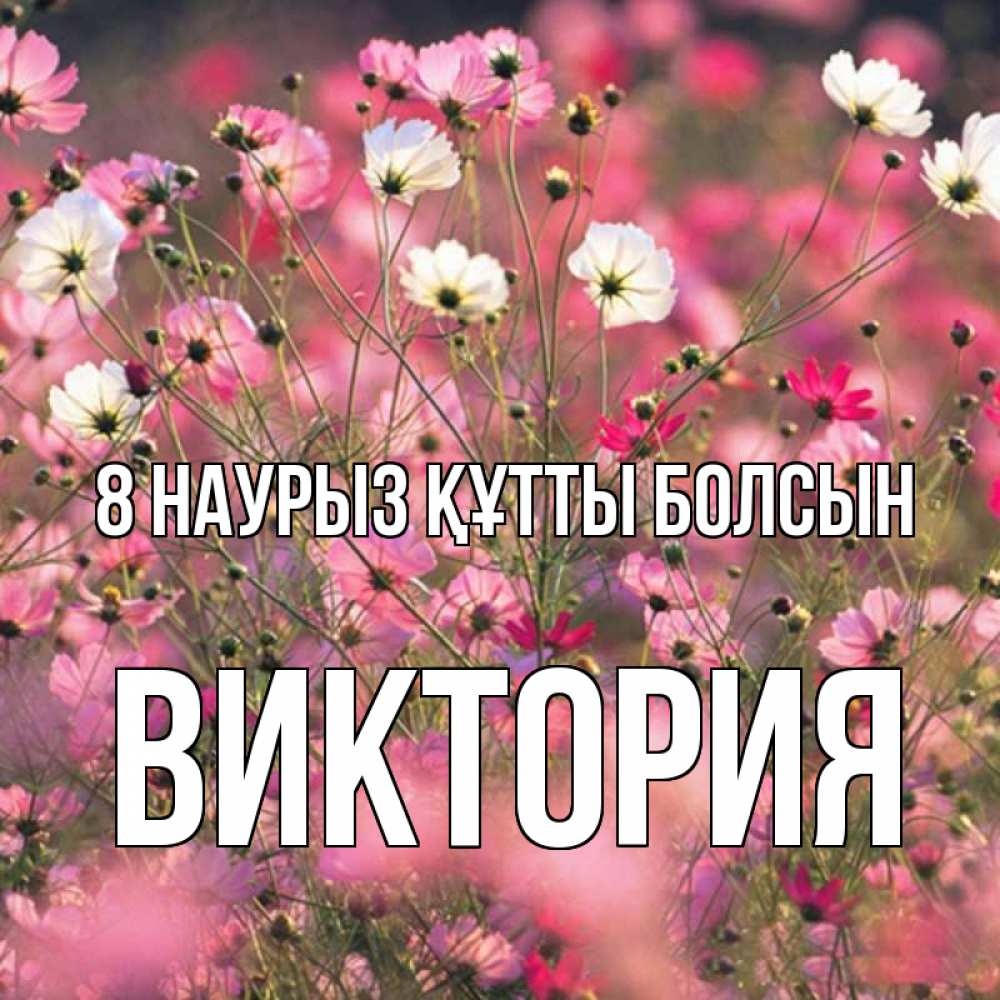 Күн сайын ашық хат с именем, Виктория 8 наурыз құтты болсын красиво 1 Онлайн тегін жүктеп алу тілектері бар керемет карта 