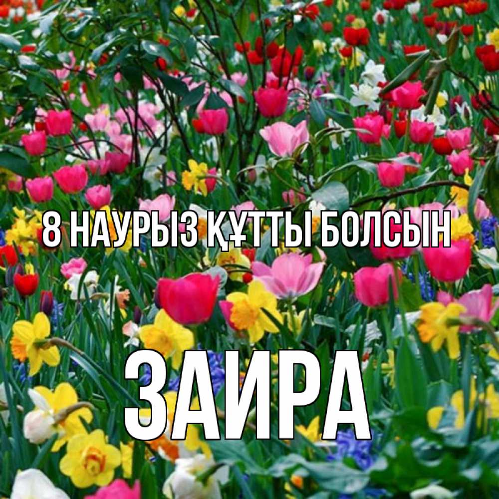 Күн сайын ашық хат с именем, Заира 8 наурыз құтты болсын с международным женским днем поздравления для женщины Онлайн тегін жүктеп алу тілектері бар керемет карта 