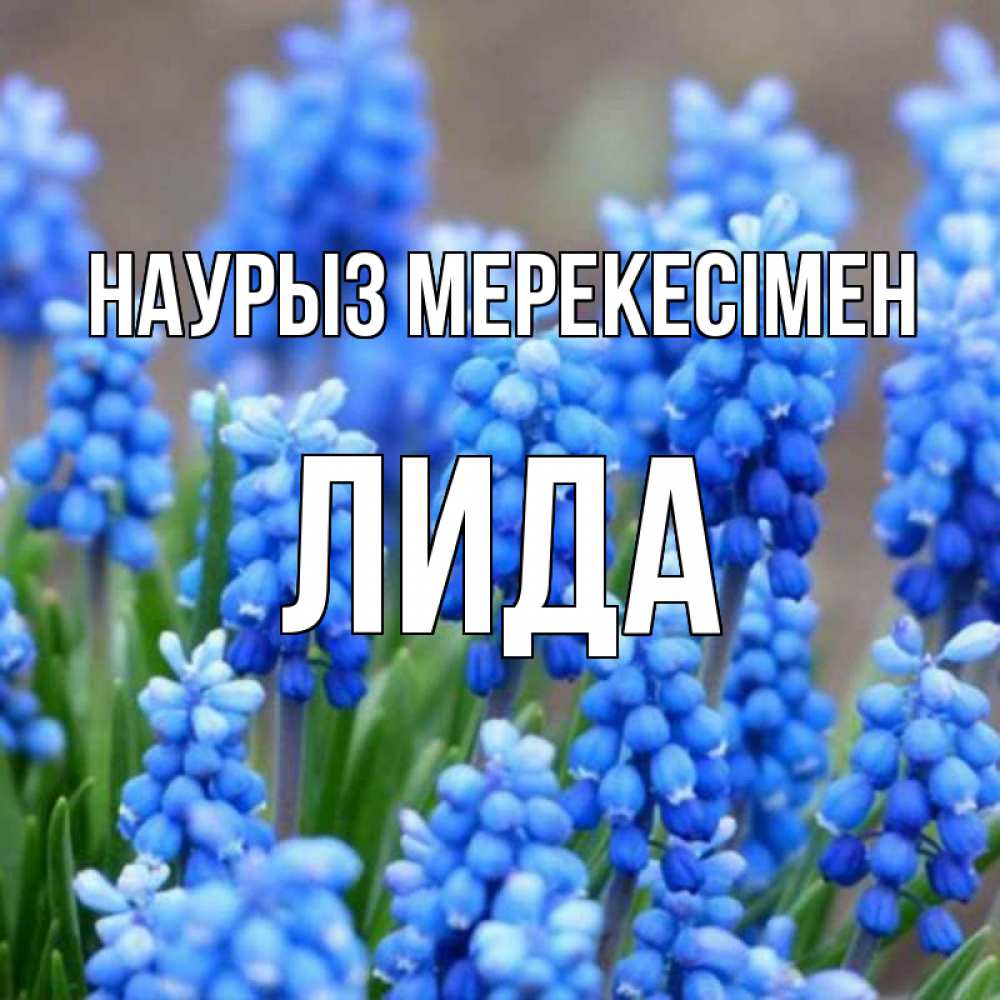 Күн сайын ашық хат с именем, Лида Наурыз мерекесімен Поздравительная открытка для женщин с цветами на праздничную дату Онлайн тегін жүктеп алу тілектері бар керемет карта 