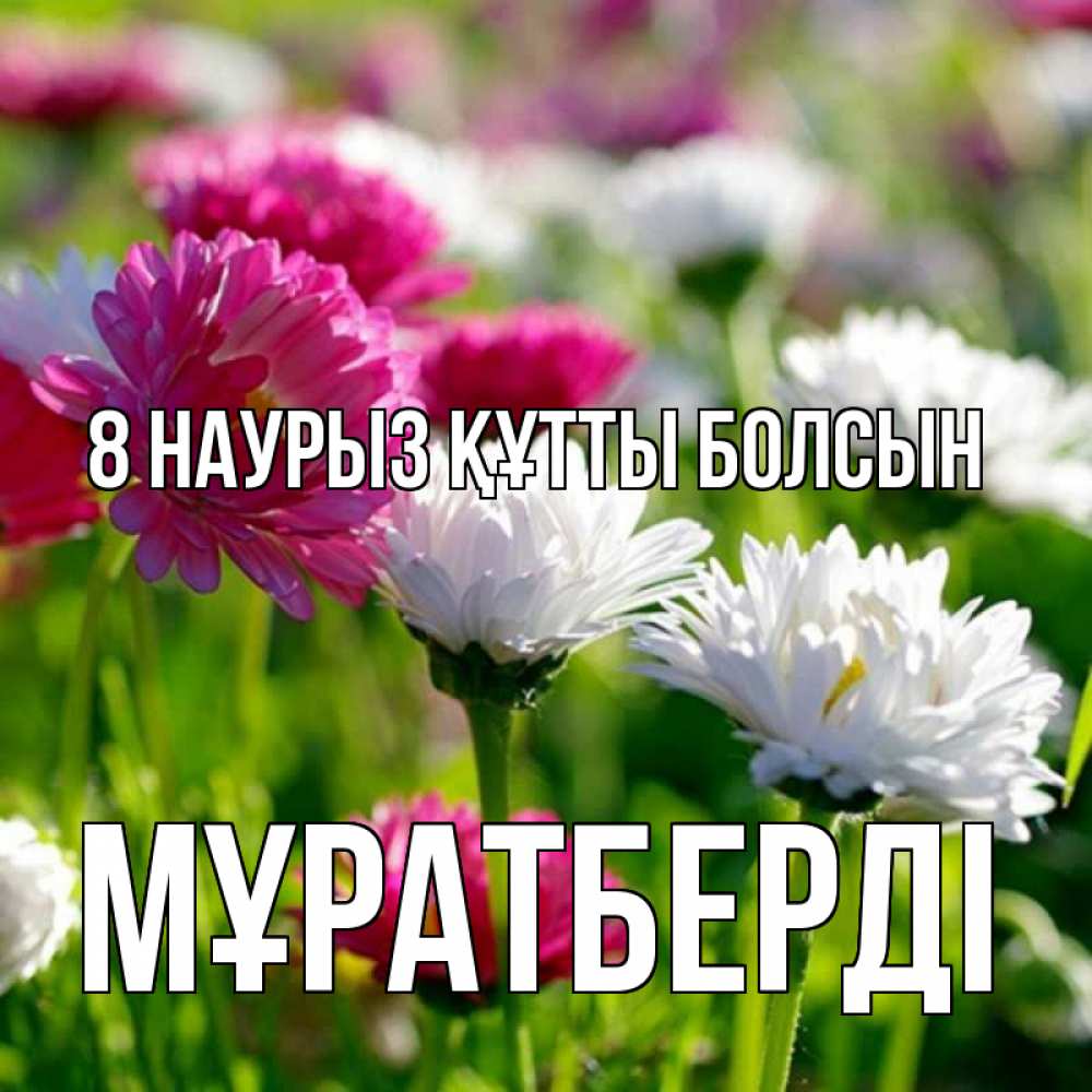 Күн сайын ашық хат с именем, Мұратберді 8 наурыз құтты болсын международный женский день 1 Онлайн тегін жүктеп алу тілектері бар керемет карта 