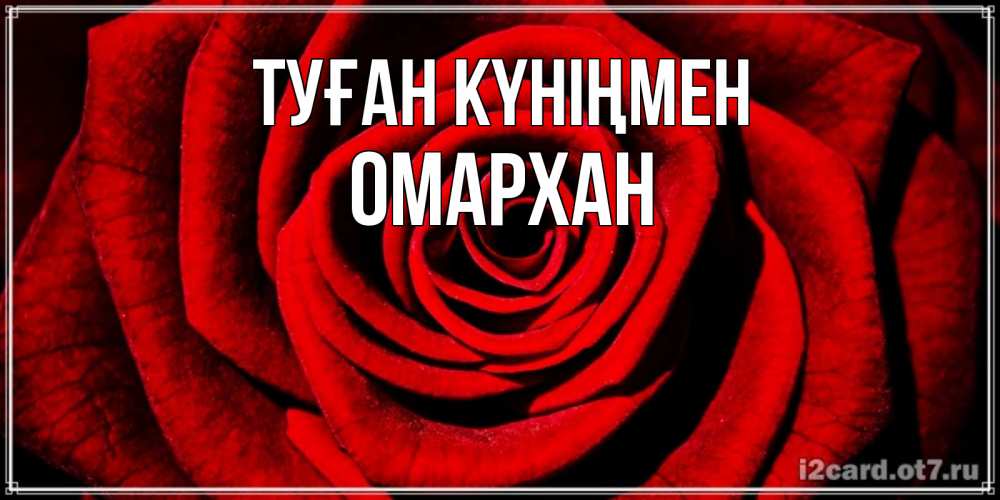 Күн сайын ашық хат с именем, ОМАРХАН Туған күніңмен алая роза Онлайн тегін жүктеп алу тілектері бар керемет карта 