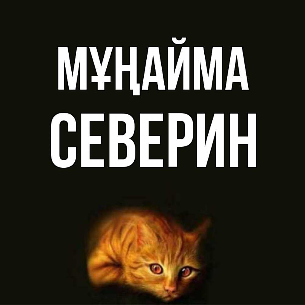Күн сайын ашық хат с именем, Северин Мұңайма лежащий кот в темноте Онлайн тегін жүктеп алу тілектері бар керемет карта 